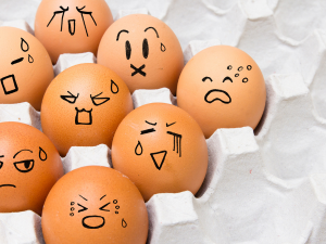 感情の仕組みを知ると心が楽になる：言語化の力と心の整え方